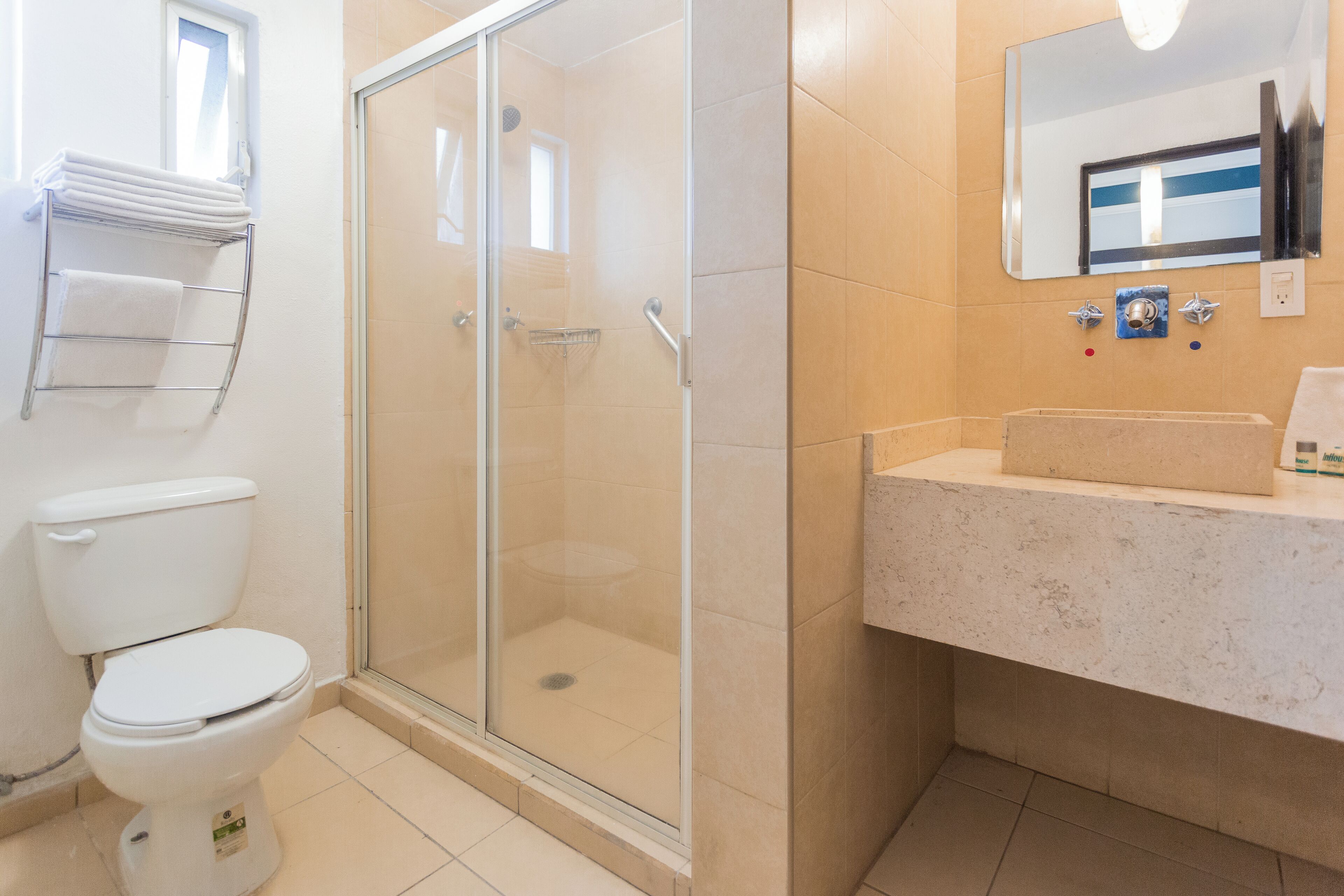 A bathroom with a toilet, a glass-enclosed shower, and a sink with a mirror above it.