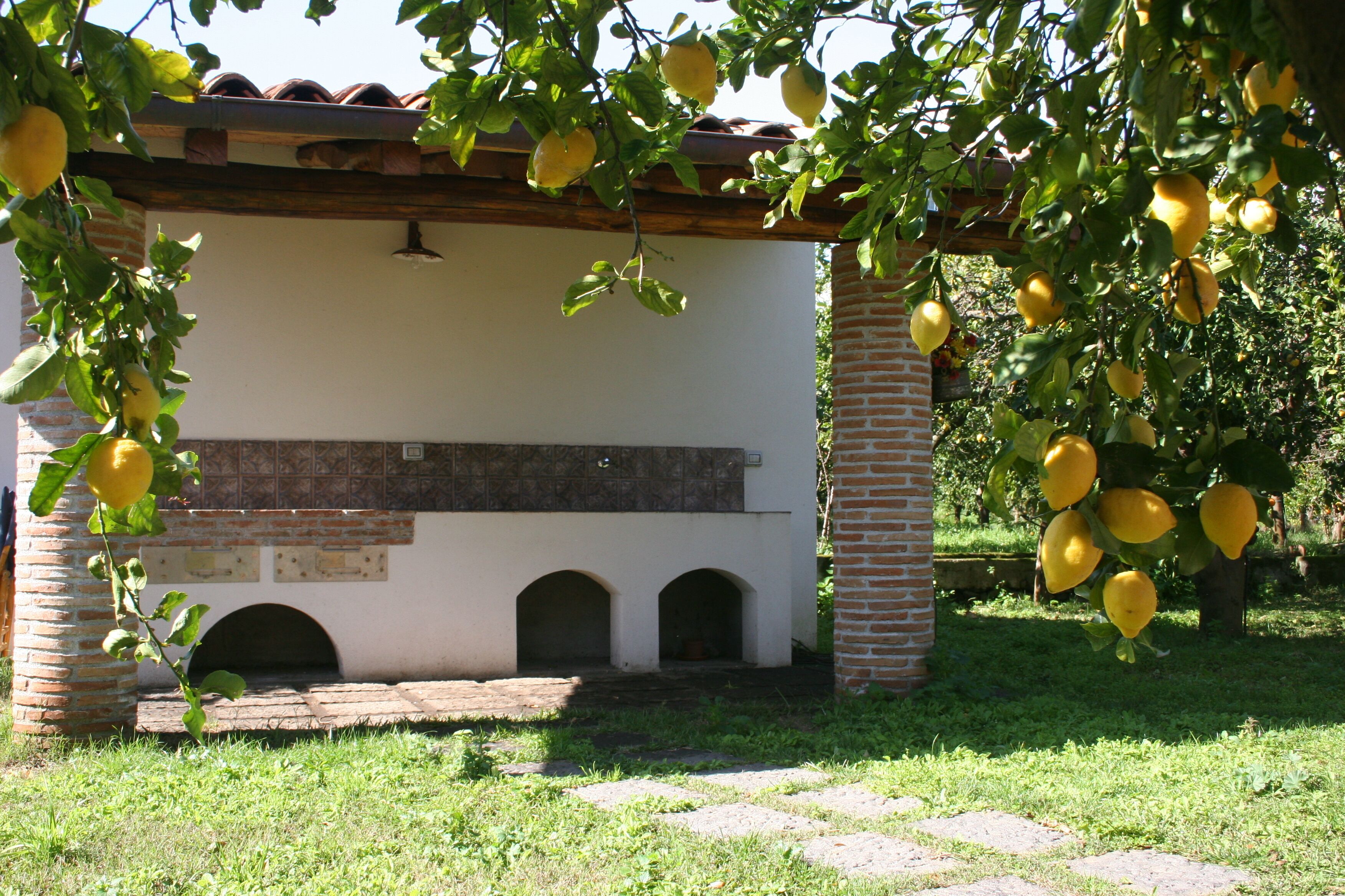 A building with a brick exterior, a tiled roof, and a small garden area with a tree bearing yellow fruit.