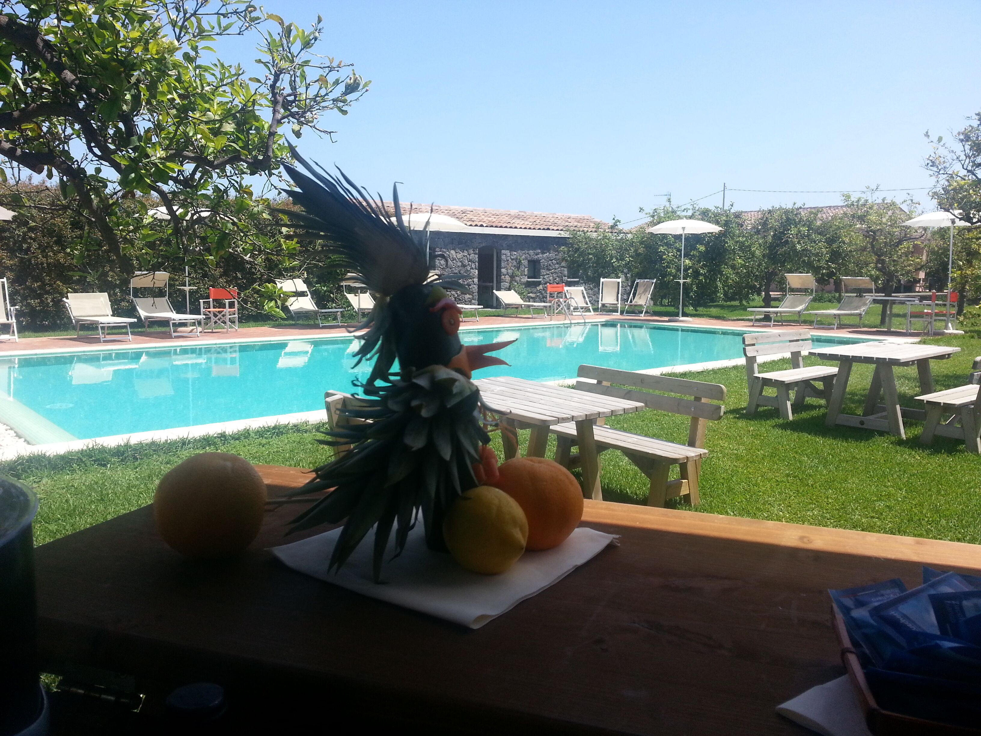 Außenpool, Sonnenschirme, Liegestühle