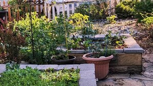 A garden with raised beds and potted plants, stone pathways, and a wooden fence.