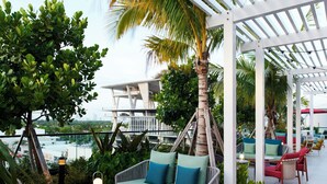 An outdoor patio with seating, a palm tree, and a view of the city. - citizenM Miami South Beach (Miami Beach)