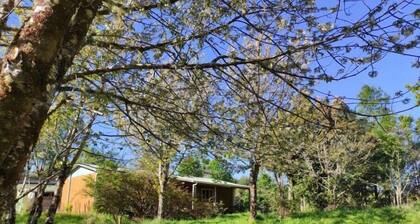 A cozy, clean and warm house within the Chepu Nature Sanctuary