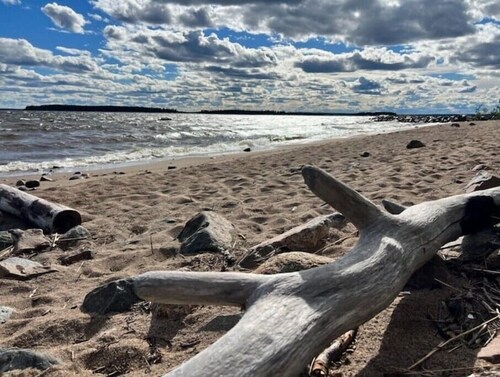 Cosy Cottage with Sauna & BBQ

