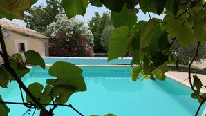 Una piscina con acqua cristallina circondata da rigogliosa vegetazione.