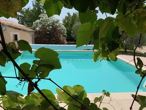 Ein Swimmingpool mit klarem, blauem Wasser, umgeben von üppigem Grün.