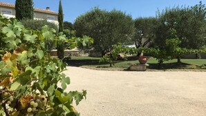 Un cortile con vialetto ghiaioso, piante in vaso e un edificio sullo sfondo.