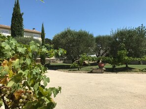Ein Innenhof mit Kiesweg, Blumentöpfen und einem Gebäude im Hintergrund.