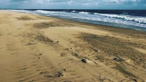 Strand