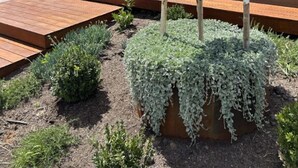 Uma casa moderna com garagem, deck de madeira e jardim com árvore e arbustos.