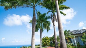 Property grounds - Kelso Grande - 3 Bedrooms Luxury Villa- (Duncans)