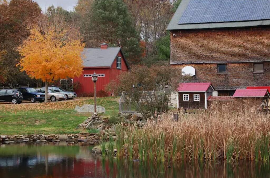 Àrea exterior de l'allotjament