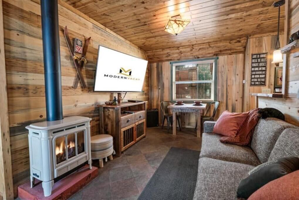 TV connectée, cheminée, lecteur de DVD, chaîne hi-fi