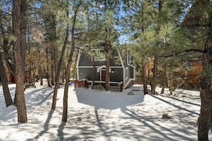 A cabin surrounded by pine trees with a snow-covered ground.