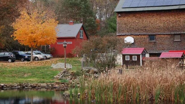 Un edificio rustico con facciata in mattoni e tetto rosso, adiacente a uno stagno con alte canne e un albero dalle foglie dai colori autunnali.