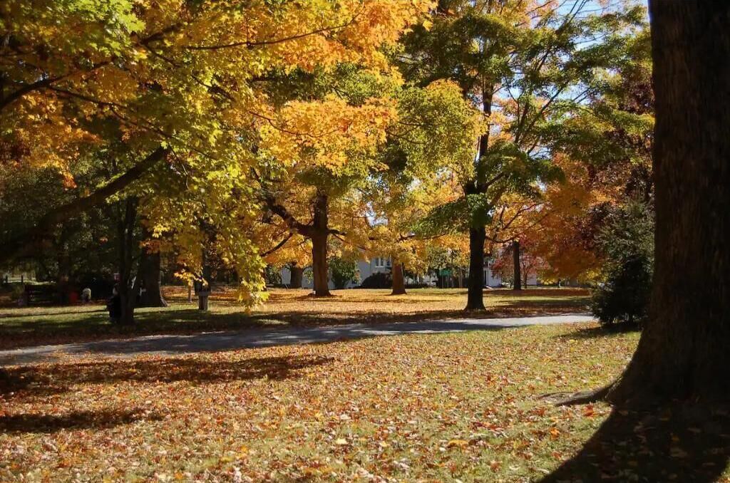 Un parque con árboles mostrando follaje otoñal, un sendero y una zona verde con hojas caídas.