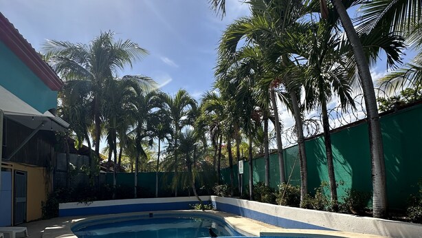 A swimming pool with a curved edge, surrounded by palm trees and a green fence. - Wide Mouth Frog Conchal (Cabo Velas)
