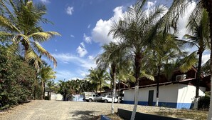 A gravel road leading to a building with a blue and white exterior, surrounded by palm trees and a clear sky. - Wide Mouth Frog Conchal (Cabo Velas)