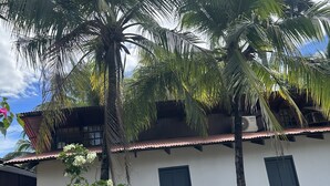 A building with a white and blue exterior, three doors, and a sloped roof. - Wide Mouth Frog Conchal (Cabo Velas)