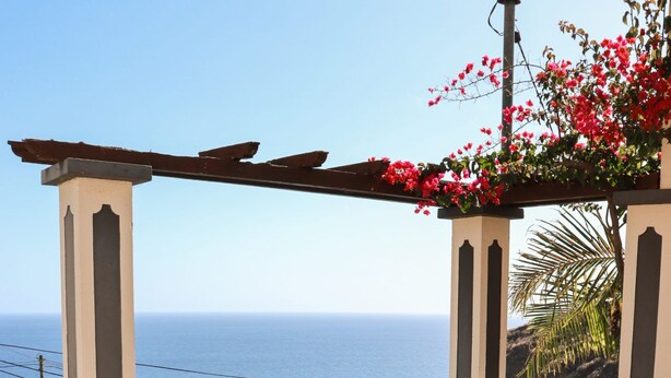 A table set for breakfast with a view of the sea, outdoor chairs, and a pergola with flowers. - A peaceful, relaxing place with privileged view of the sea. (Tabua)