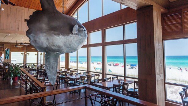 Un restaurante con una gran escultura de pescado colgando del techo, amplios ventanales con vistas a una playa y decoración de madera.