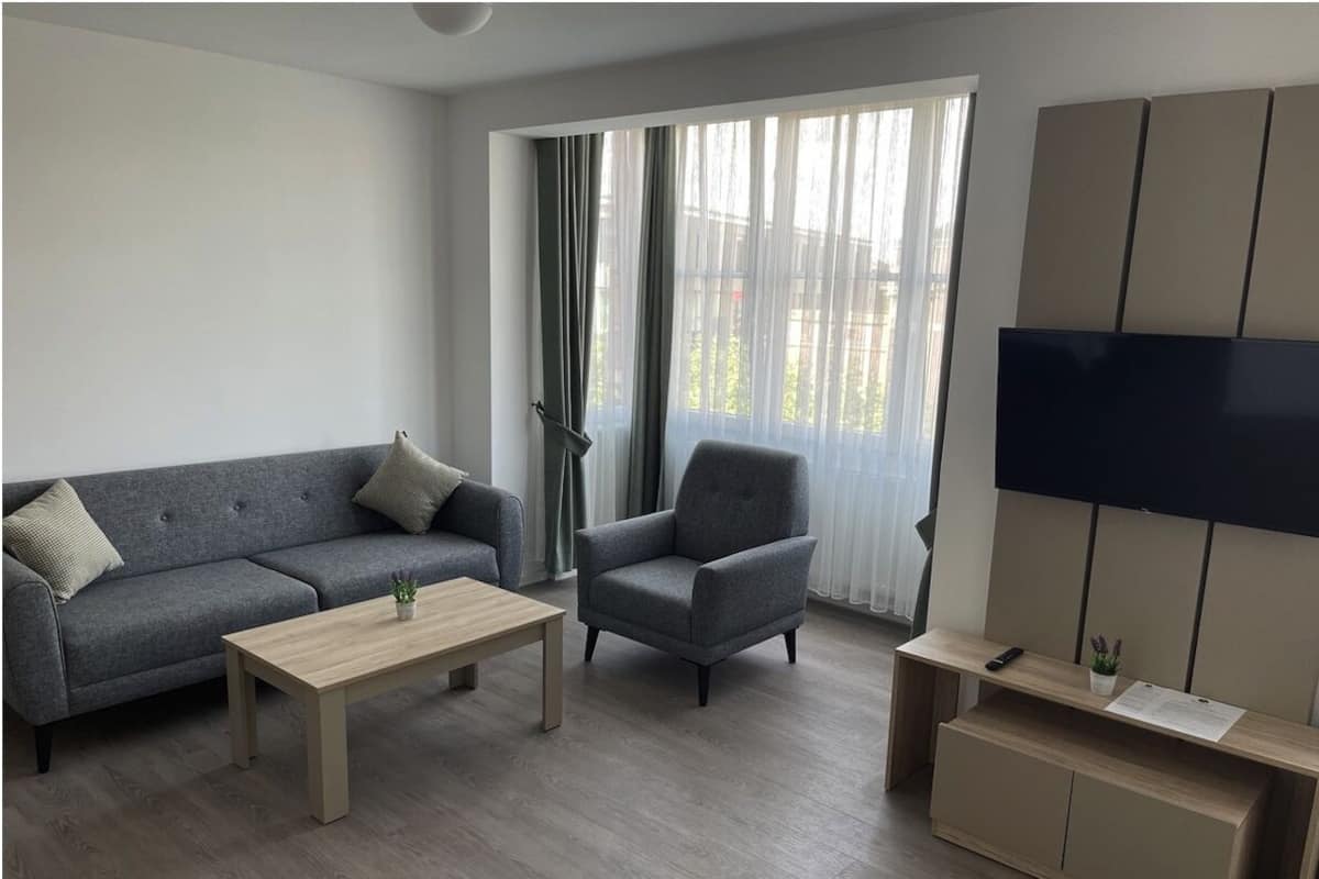 A modern living room with a grey sofa, a matching armchair, a wooden coffee table, and a TV on a wooden stand.