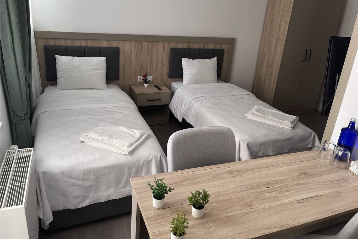 A hotel room with two beds, a wooden headboard, a nightstand with a remote control, a desk with a plant, and a wardrobe.