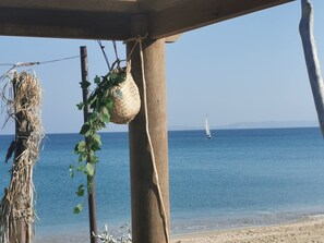 A beach view with a sailboat on the water, a beach, and a structure with a hanging basket and vines.
