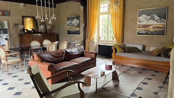 Télévision, cheminée, jeux vidéo, livres