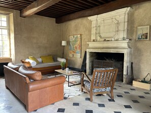 Télévision, cheminée, jeux vidéo, livres