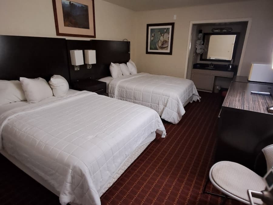Wifi gratis y ropa de cama