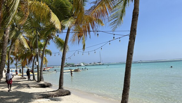 Una playa con palmeras, agua cristalina y barcos a lo lejos.