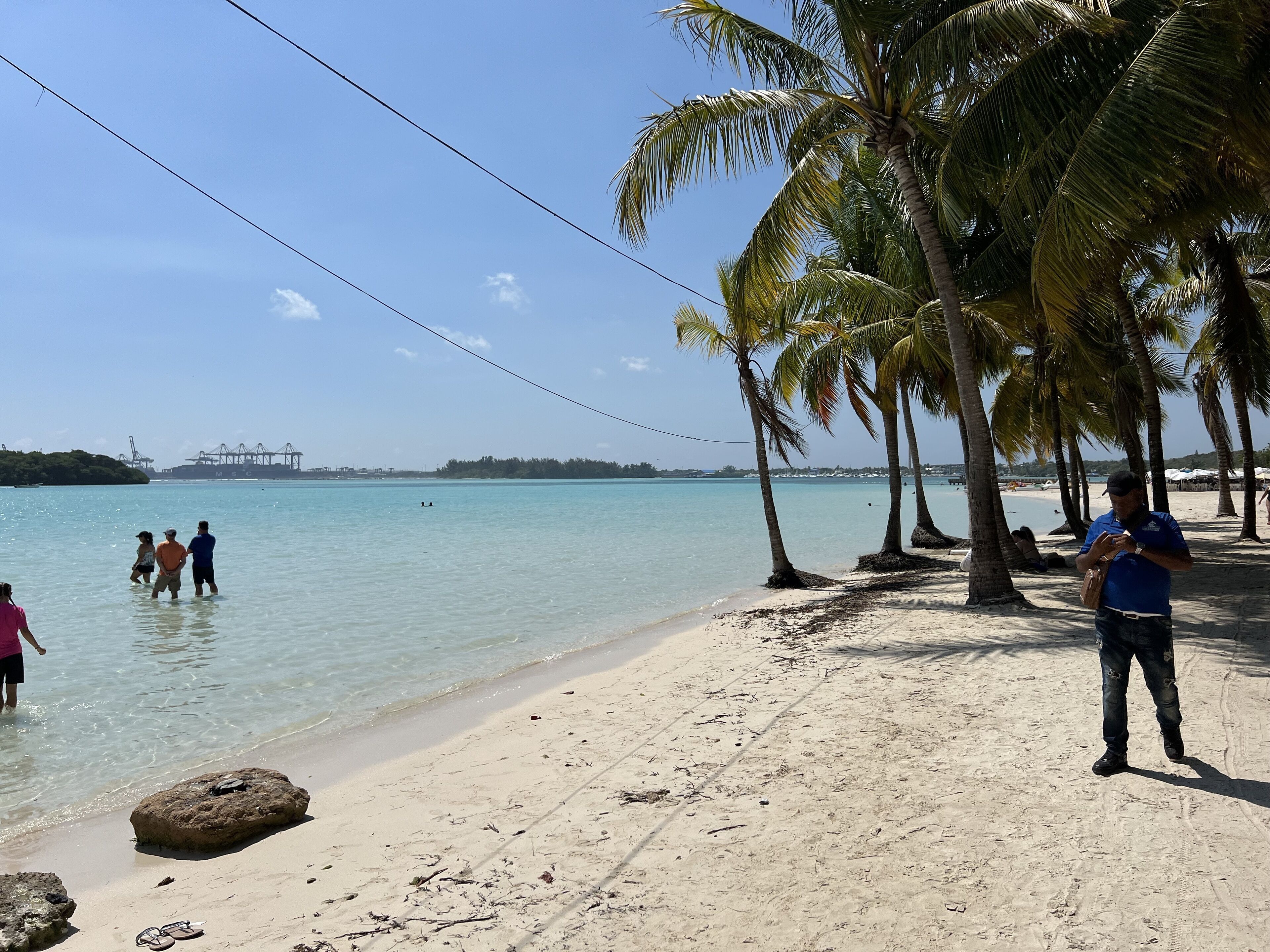 A beach with clear turquoise water, palm trees, and a distant bridge.