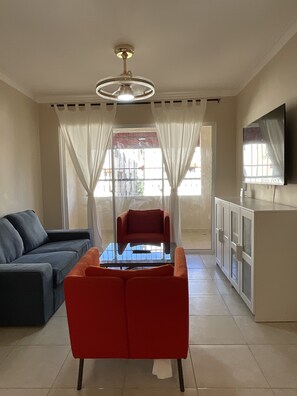 47-inch LED TV with digital channels, Netflix, streaming services