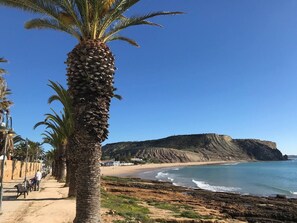 A coastal scene with a palm tree, beach, and rocky cliffs. - Captivating 2-bed Apartment in Praia da Luz (Lagos)
