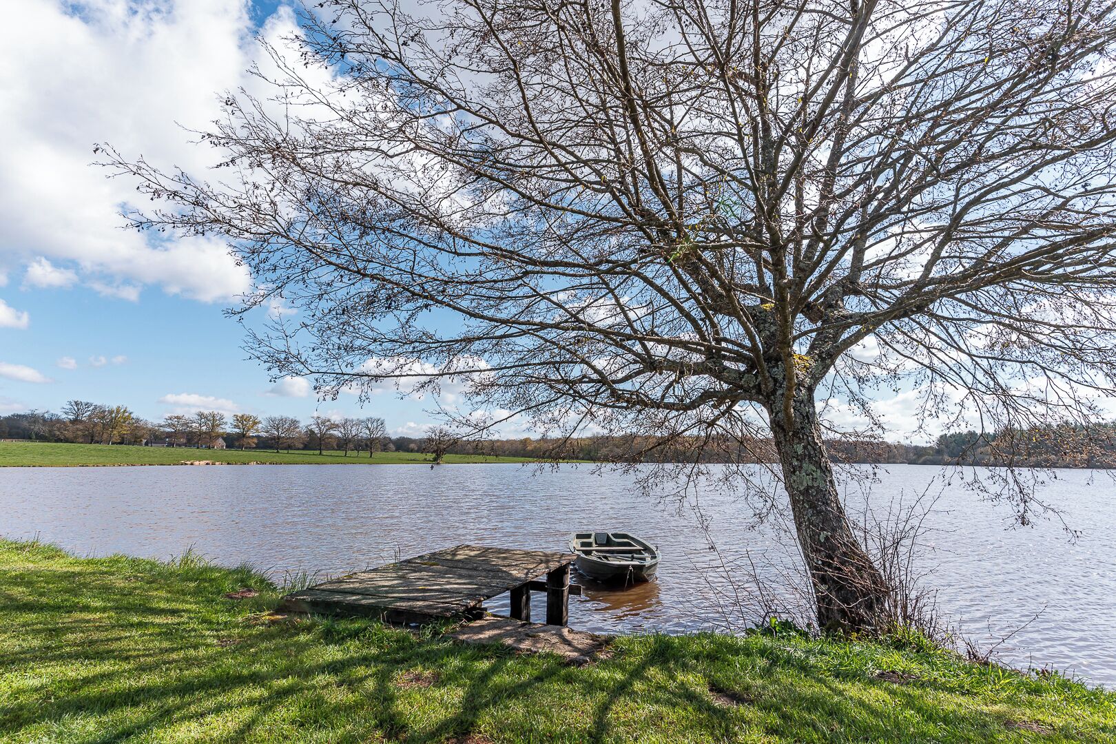 A dock extending into a calm lake, surrounded by grassy banks and a leafless tree.