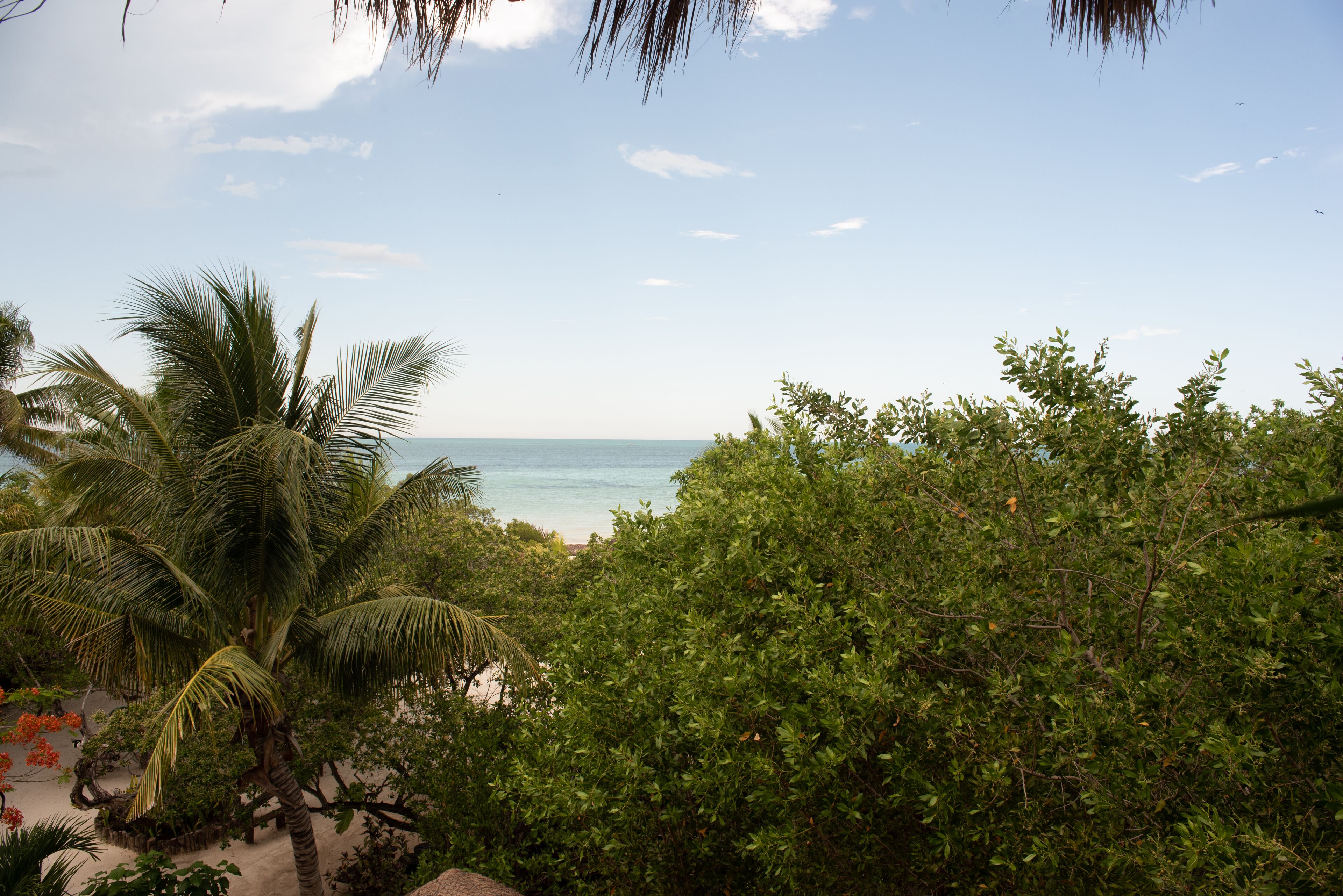 Photo - Casa Takywara