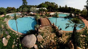 A large outdoor swimming pool with a wooden bridge, surrounded by palm trees and rocks.
