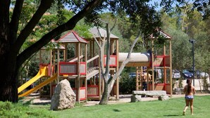 A playground with a slide and climbing structures, surrounded by trees and grass.