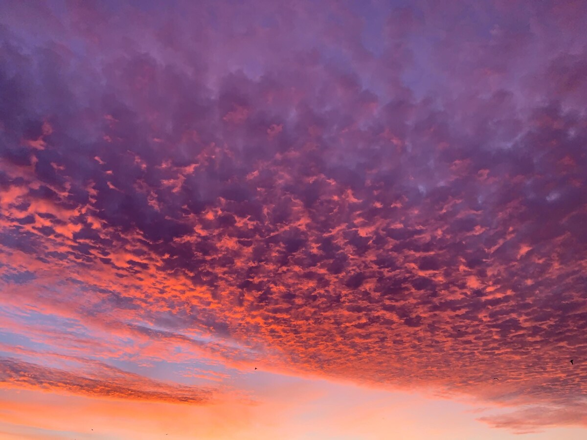 Imagen de perfil del propietario o de la propietaria