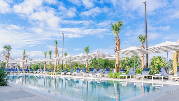 A pool area with lounge chairs and umbrellas, surrounded by palm trees. - The Perry Hotel Naples (Naples)