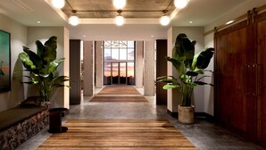A modern hallway with a wooden floor, large potted plants, and a view of a sunset through large windows. - The Perry Hotel Naples (Naples)