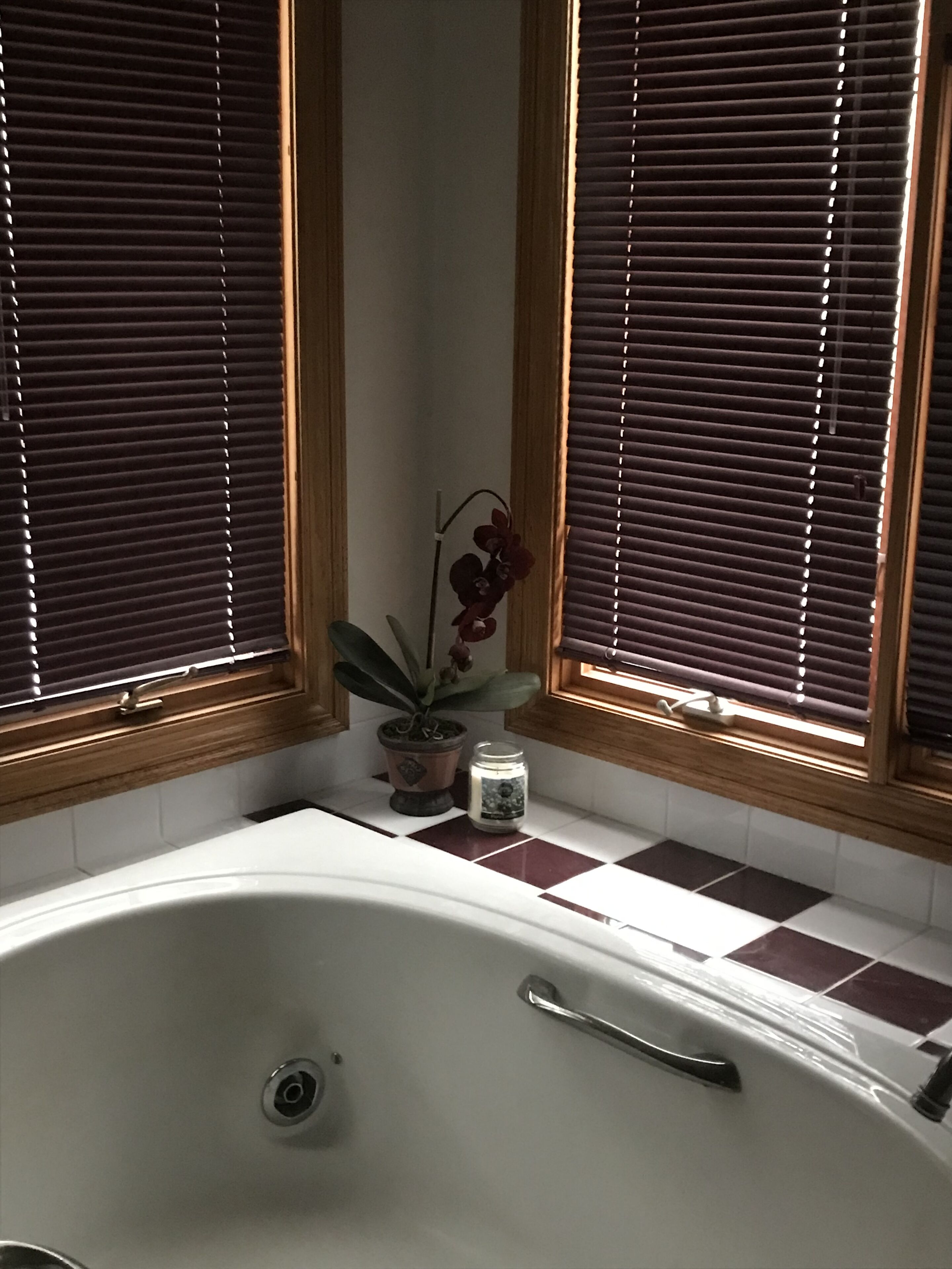 Een badkamer met een bad, planten in potten en een raam met jaloezieën.