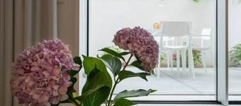 Apartamento con Terraza