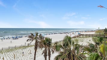 Condo, Multiple Beds (Sandy Key 335) | Beach | On the beach