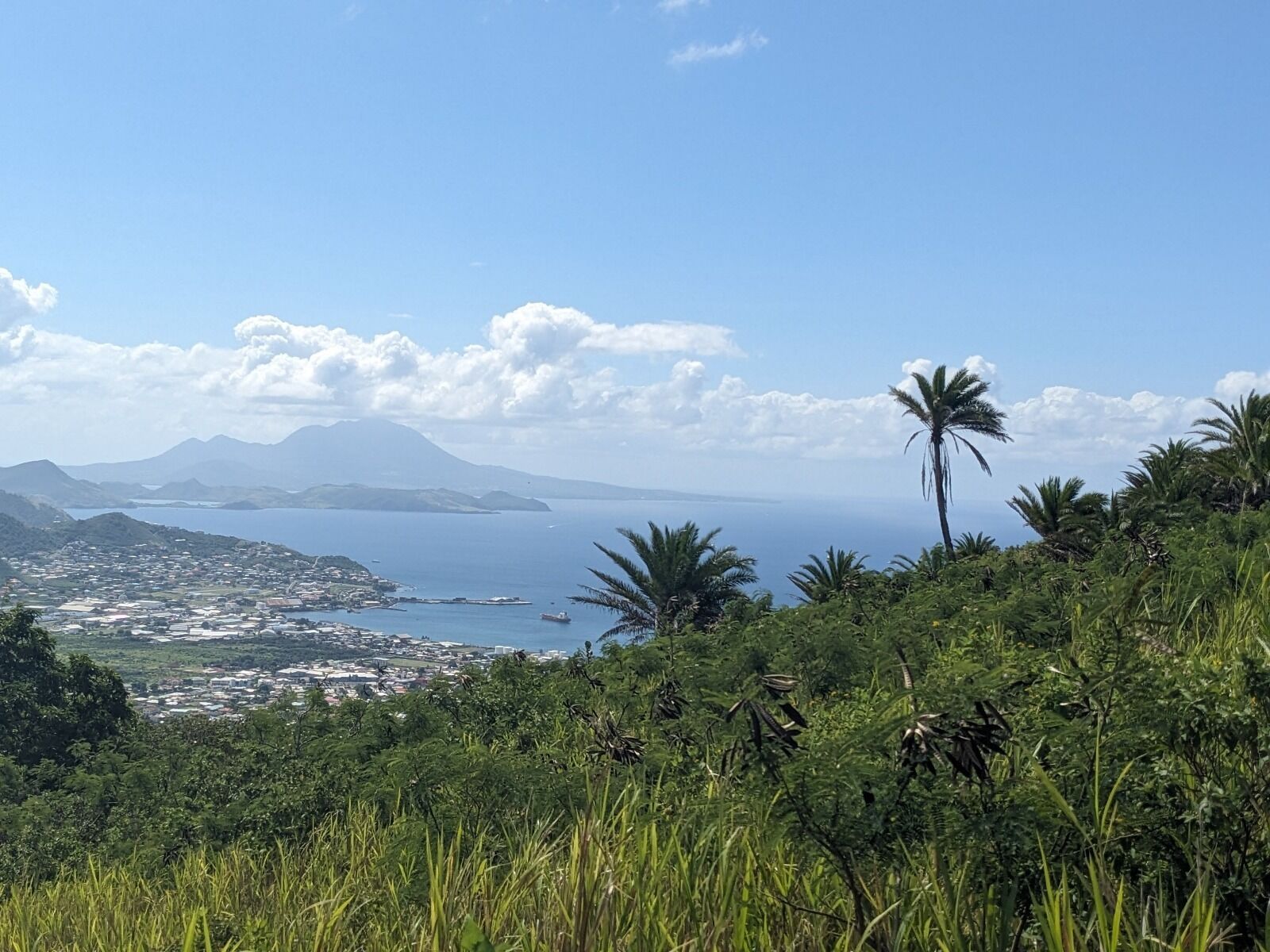 Un paisaje costero con una montaña al fondo, vegetación densa en primer plano y vistas a un pueblo a través del agua.