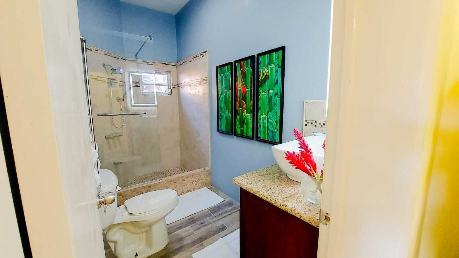 Regadera, toallas, jabón, shampoo 