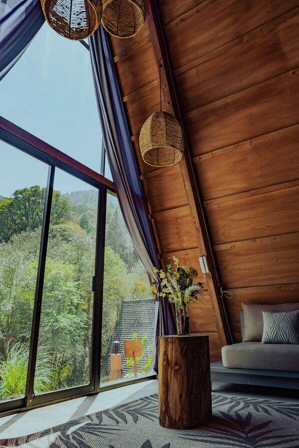 Deluxe Cabin | Living area - NIDU Cabañas & Holística (Mineral del Monte)