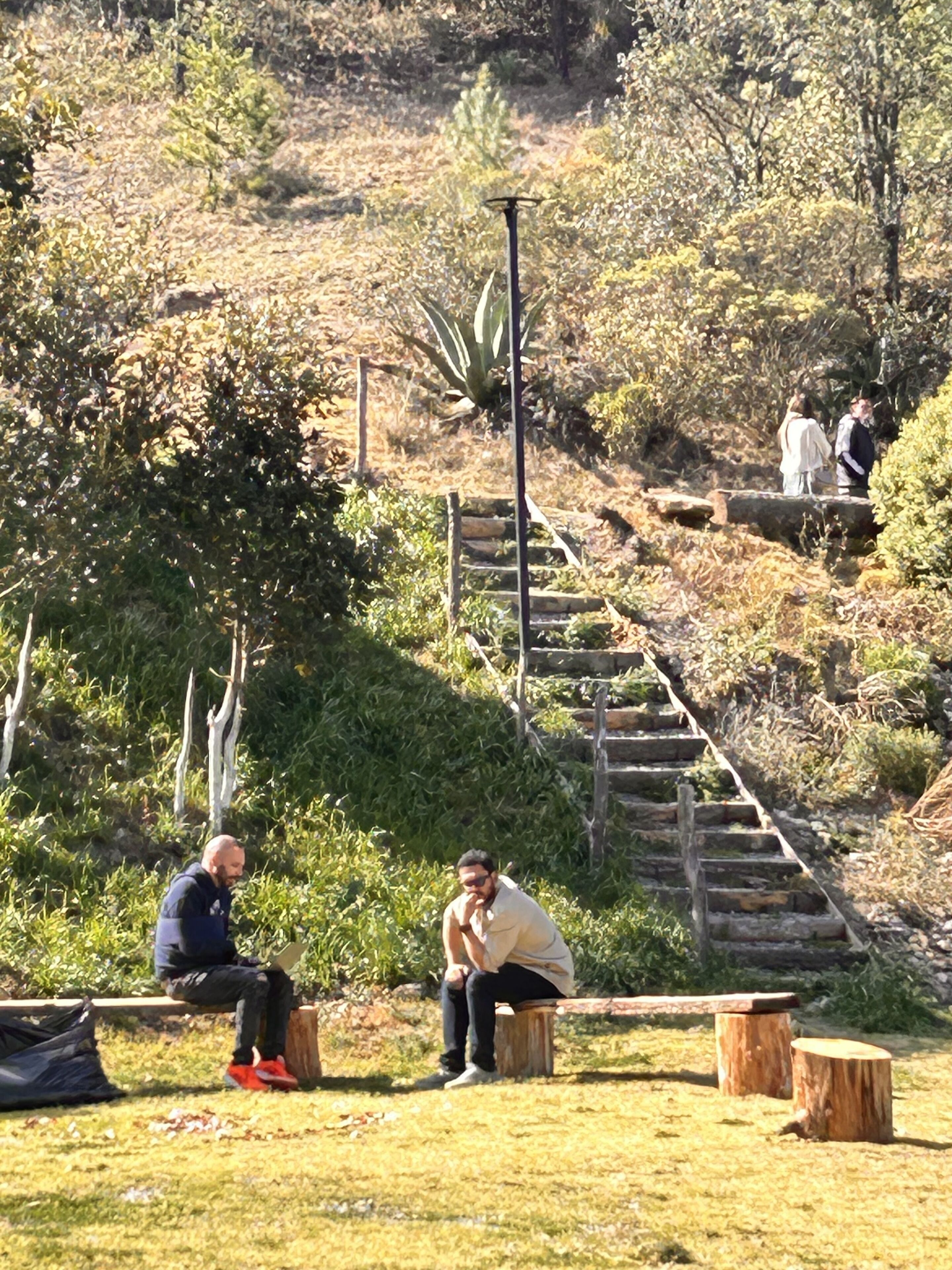 Un parc avec des bancs en bois et un escalier menant au sommet d’une colline.