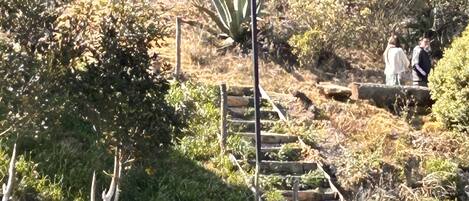 Un parc avec des bancs en bois et un escalier menant au sommet d’une colline.