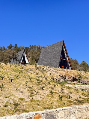 Exterior - NIDU Cabañas & Holística (Mineral del Monte)